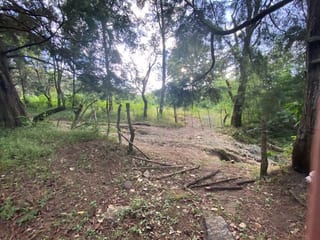 Propiedad en venta Santa Elena Barillas km 31 — Terreno en Venta en Santa Elena Barillas, Guatemala, Ciudad — miniatura 7 de 7