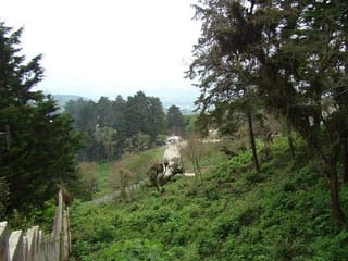 TERRENO EN ALTO VALLE KM 12.8 CARRETERA A EL SALVADOR — Terreno en Venta en Carretera a El Salvador, Guatemala, Ciudad — miniatura 1 de 4