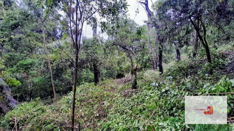 Terreno en lotificación Carr.a El Salvador 1/2 Mz. Km.22.5 - 10