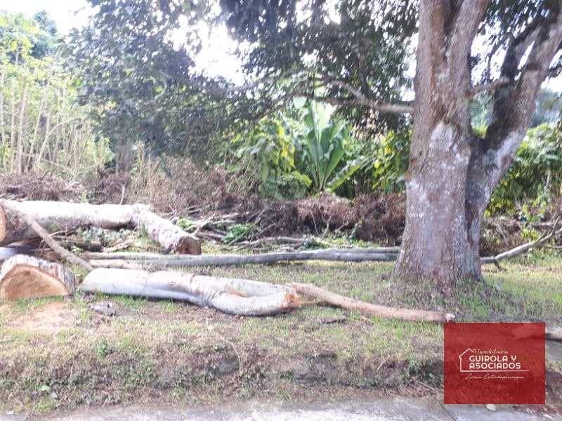 Terreno en venta en Santa Rosalia La Laguna 037TVSTD - 4