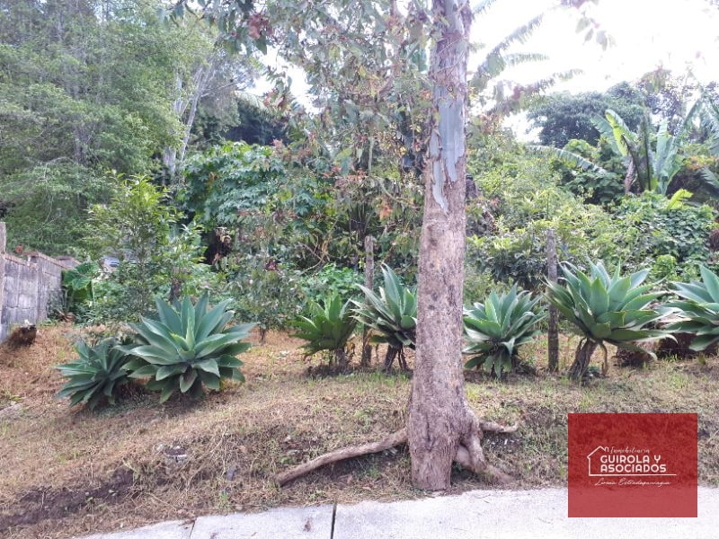 Terreno en venta en Santa Rosalia La Laguna 037TVSTD - 2