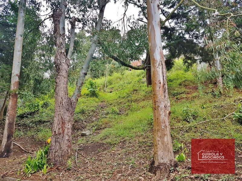 TERRENO EN VENTA EN SANTA ROSALIA LA LAGUNA 017TVSTD - 1