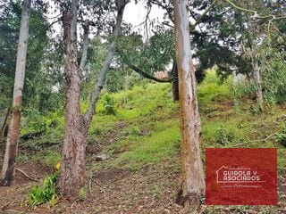 TERRENO EN VENTA EN SANTA ROSALIA LA LAGUNA 017TVSTD — Terreno en Venta en Santa Rosalia La Laguna, Carretera a El Salvador, Guatemala, Ciudad — miniatura 1 de 2