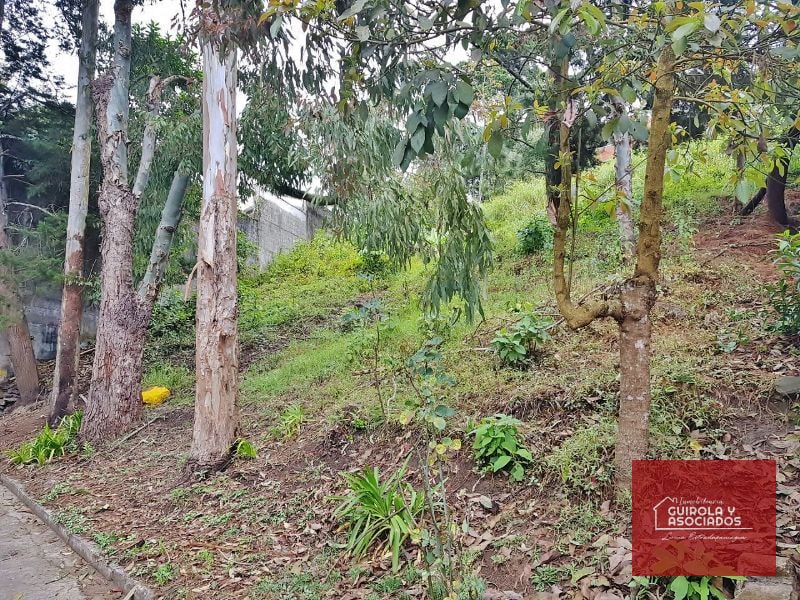 TERRENO EN VENTA EN SANTA ROSALIA LA LAGUNA 017TVSTD - 2