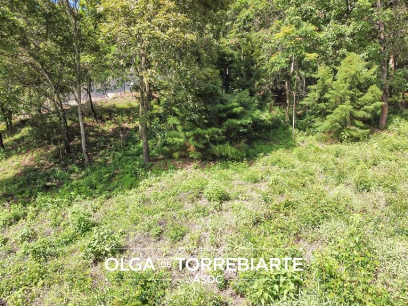 Terreno en El Pulté Golf — Terreno en Venta en El Pulté, Zona 16, Guatemala, Ciudad — foto 5 de 10