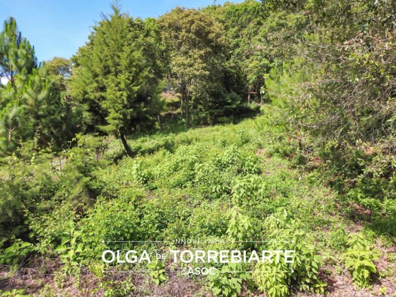 Terreno en El Pulté Golf — Terreno en Venta en El Pulté, Zona 16, Guatemala, Ciudad — foto 4 de 10