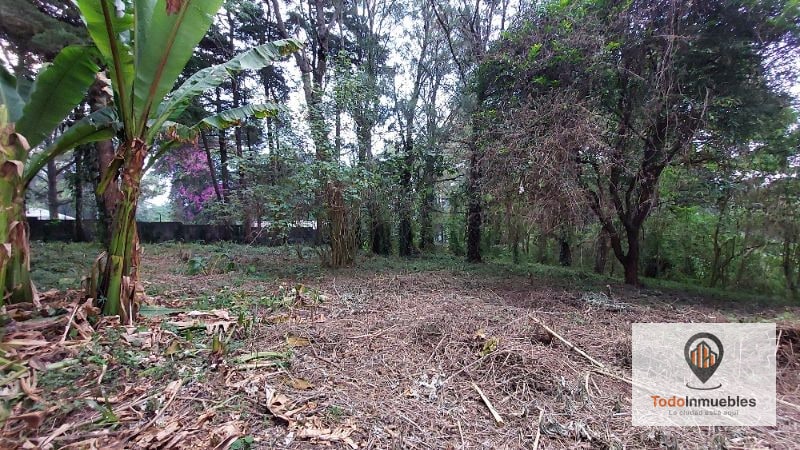 Terreno en Renta en Carretera a El Salvador km 19 - Villas del Pinar Fraijanes - 1