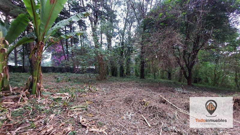 Terreno en Renta en Carretera a El Salvador km 19 - Villas del Pinar Fraijanes — Terreno en Alquiler en Villas del Pinar, Carretera a El Salvador, Guatemala, Ciudad — foto 1 de 6
