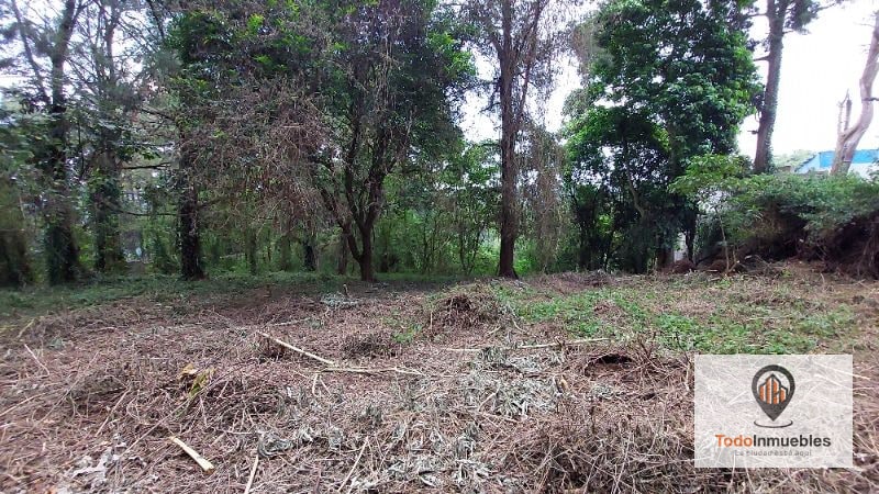Terreno en Renta en Carretera a El Salvador km 19 - Villas del Pinar Fraijanes - 3