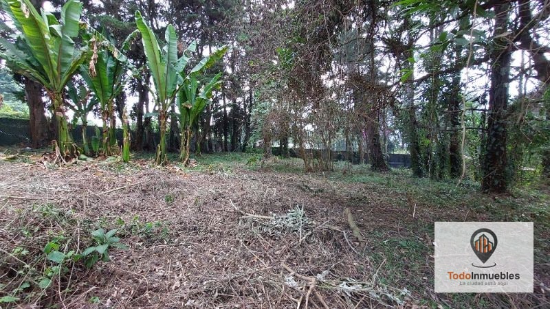 Terreno en Renta en Carretera a El Salvador km 19 - Villas del Pinar Fraijanes - 5