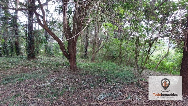 Terreno en Renta en Carretera a El Salvador km 19 - Villas del Pinar Fraijanes - 6