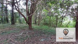 Terreno en Renta en Carretera a El Salvador km 19 - Villas del Pinar Fraijanes — Terreno en Alquiler en Villas del Pinar, Carretera a El Salvador, Guatemala, Ciudad — miniatura 5 de 6