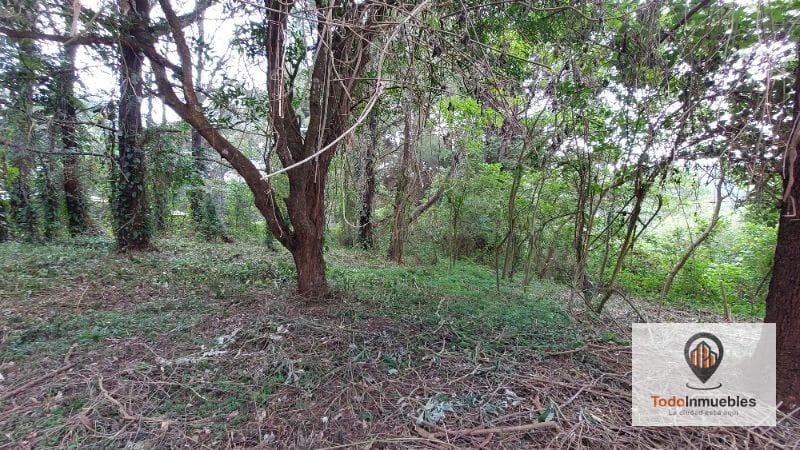Terreno en Renta en Carretera a El Salvador km 19 - Villas del Pinar Fraijanes — Terreno en Alquiler en Villas del Pinar, Carretera a El Salvador, Guatemala, Ciudad — foto 5 de 6