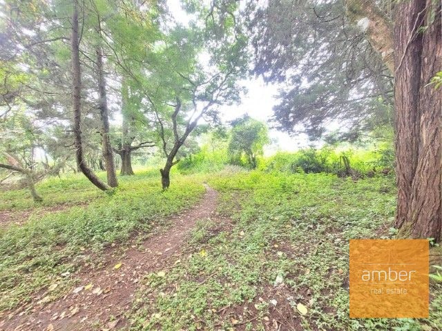 Venta Terreno km. 28 Carretera a El Salvador - 6