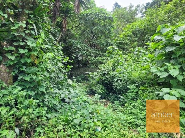 Venta Terreno km. 28 Carretera a El Salvador - 3