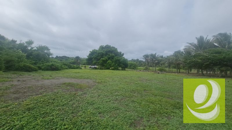 TERRENO EN VENTA FRENTE AL MAR EN MONTERRICO - 7