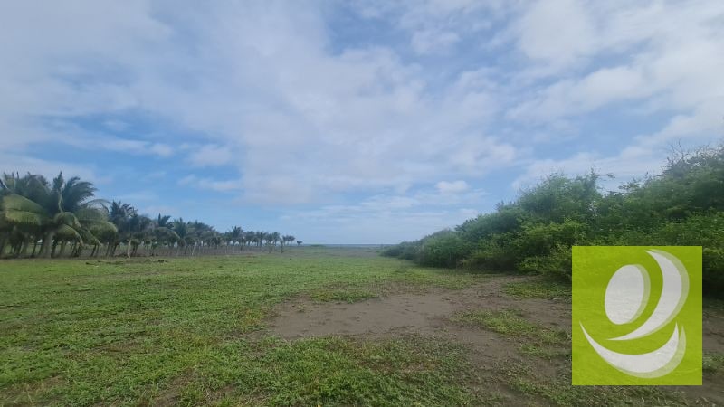 TERRENO EN VENTA FRENTE AL MAR EN MONTERRICO - 5