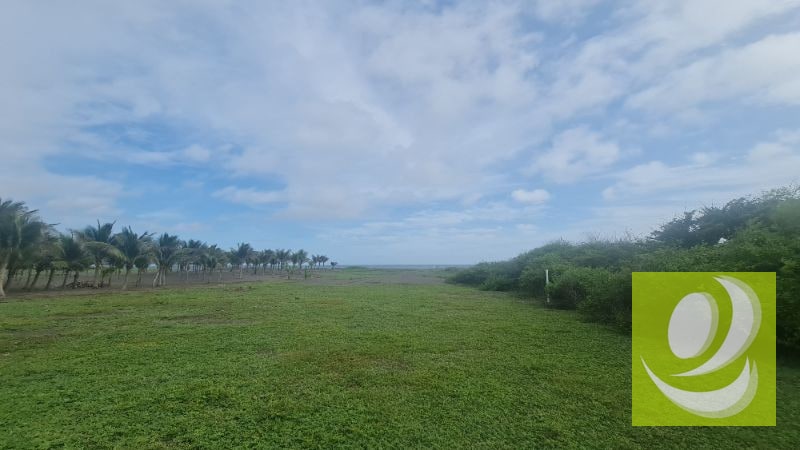TERRENO EN VENTA FRENTE AL MAR EN MONTERRICO - 8