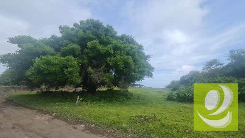 TERRENO EN VENTA FRENTE AL MAR EN MONTERRICO - 3