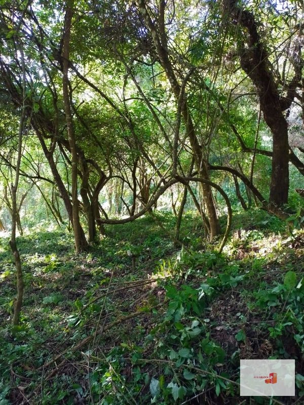 Venta de Terreno en El Encinal Tronco 8 - Mixco Guate - 1