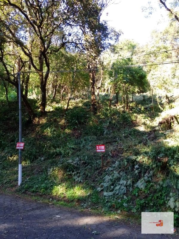 Venta de Terreno en El Encinal Tronco 8 - Mixco Guate - 6
