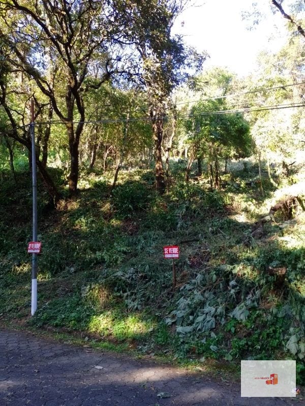 Venta de Terreno en El Encinal Tronco 8 - Mixco Guate — Terreno en Venta en Zona 7 Mixco, Guatemala, Ciudad — foto 9 de 11