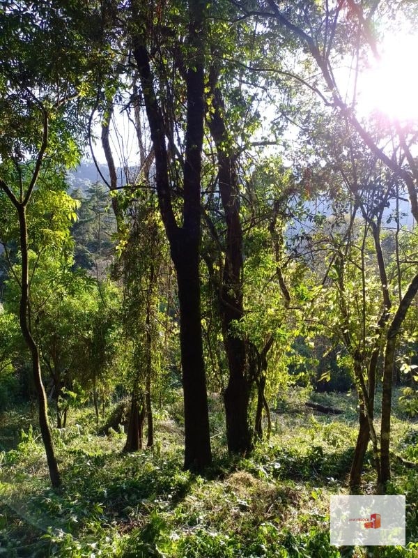 Venta de Terreno en El Encinal Tronco 8 - Mixco Guate - 10