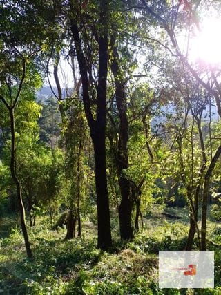Venta de Terreno en El Encinal Tronco 8 - Mixco Guate — Terreno en Venta en Zona 7 Mixco, Guatemala, Ciudad — miniatura 10 de 11