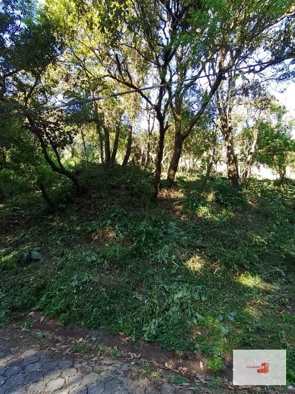 Venta de Terreno en El Encinal Tronco 8 - Mixco Guate - 5