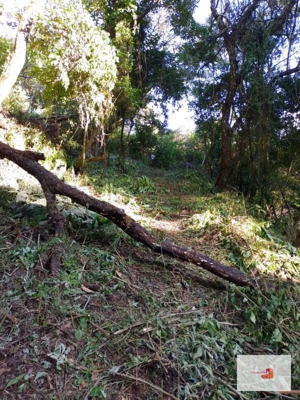 Venta de Terreno en El Encinal Tronco 8 - Mixco Guate - 9