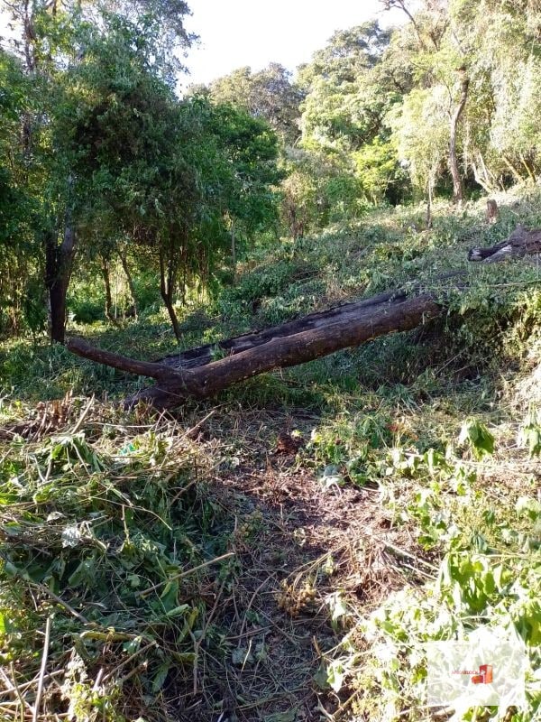 Venta de Terreno en El Encinal Tronco 8 - Mixco Guate - 7