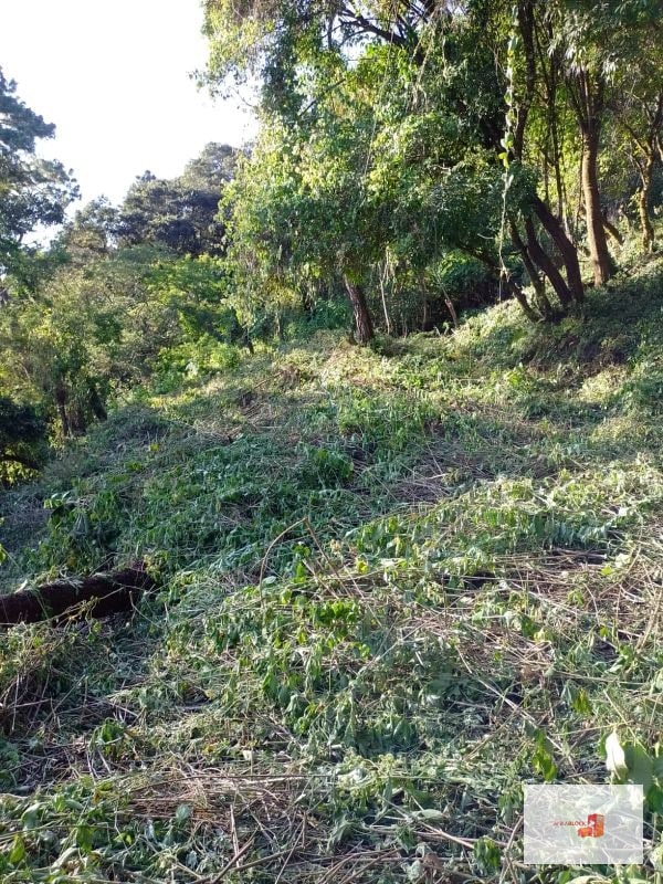 Venta de Terreno en El Encinal Tronco 8 - Mixco Guate - 11