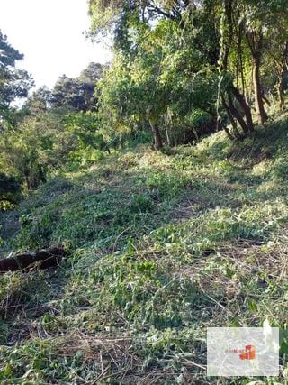 Venta de Terreno en El Encinal Tronco 8 - Mixco Guate — Terreno en Venta en Zona 7 Mixco, Guatemala, Ciudad — miniatura 7 de 11