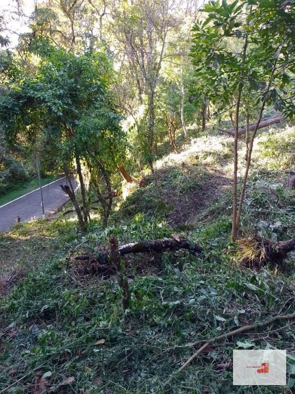 Venta de Terreno en El Encinal Tronco 8 - Mixco Guate — Terreno en Venta en Zona 7 Mixco, Guatemala, Ciudad — foto 8 de 11
