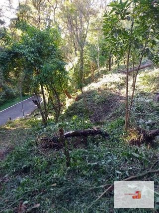 Venta de Terreno en El Encinal Tronco 8 - Mixco Guate — Terreno en Venta en Zona 7 Mixco, Guatemala, Ciudad — miniatura 8 de 11
