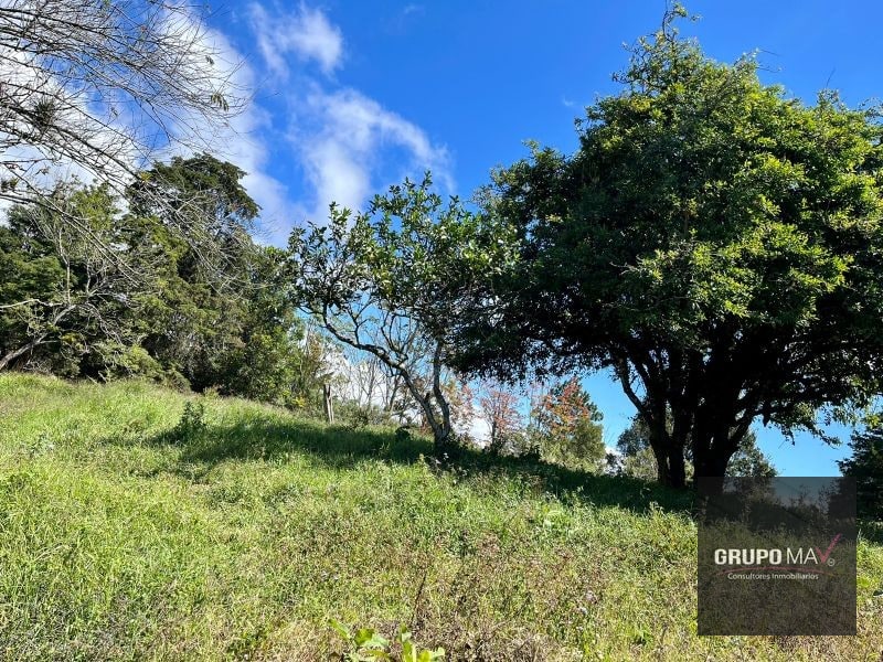 Finca Flor de Carmelo San José Pínula - 4