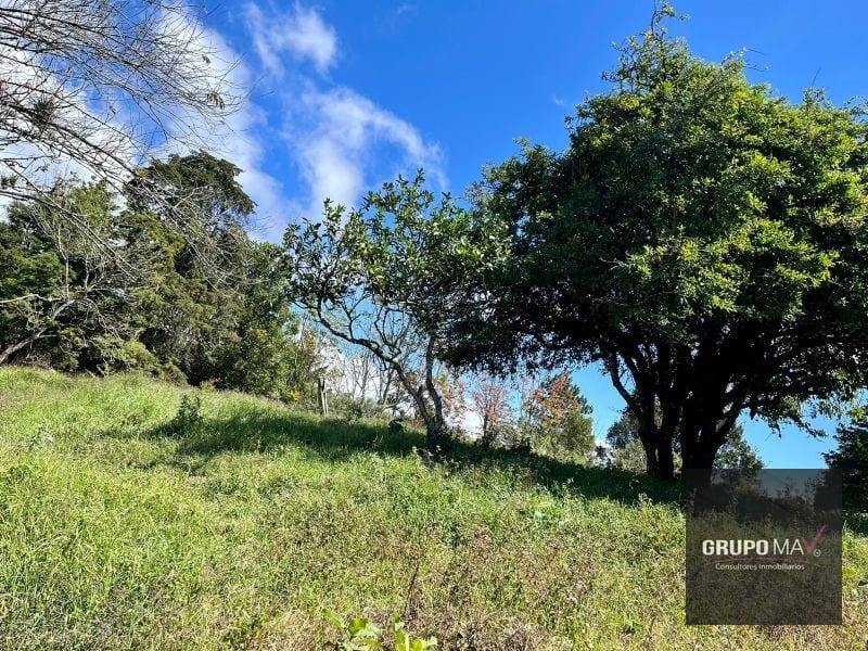 Finca Flor de Carmelo San José Pínula — Finca en Venta en San José Pinula, Guatemala, Ciudad — foto 4 de 7