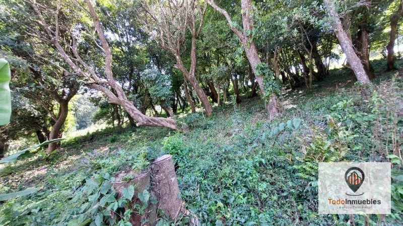 Terreno en Venta en Colinas de Castel Fraijanes — Terreno en Venta en Colinas de Castel, Carretera a El Salvador, Guatemala, Ciudad — foto 4 de 7