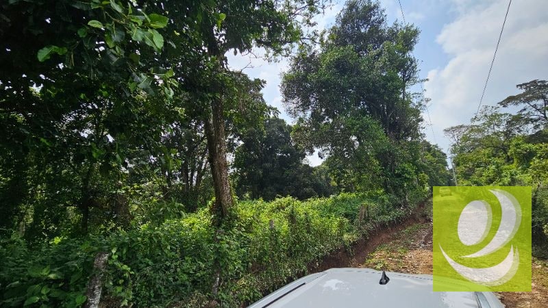 TERRENO EN VENTA CERCA DE LA RESERVA CARRETERA A SANTA ELENA BARILLAS - 9