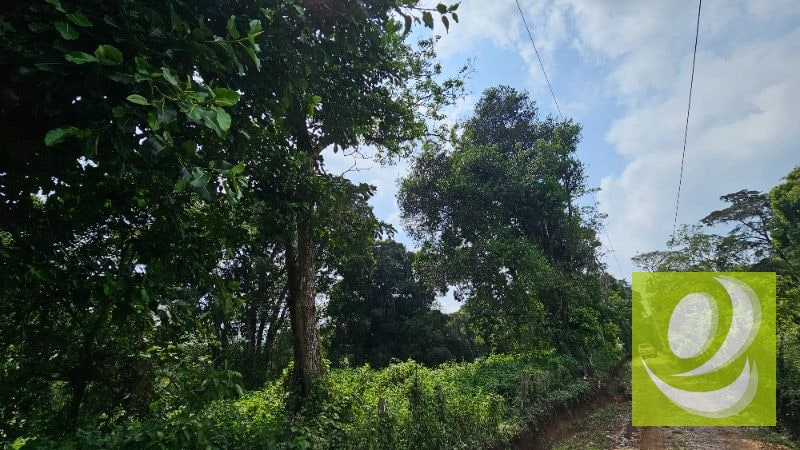 TERRENO EN VENTA CERCA DE LA RESERVA CARRETERA A SANTA ELENA BARILLAS - 8