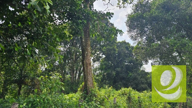 TERRENO EN VENTA CERCA DE LA RESERVA CARRETERA A SANTA ELENA BARILLAS - 3