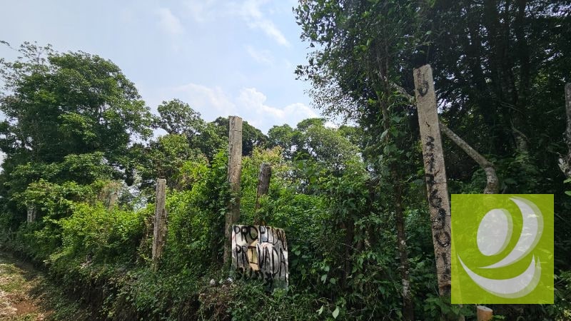 TERRENO EN VENTA CERCA DE LA RESERVA CARRETERA A SANTA ELENA BARILLAS - 2