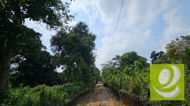 TERRENO EN VENTA CERCA DE LA RESERVA CARRETERA A SANTA ELENA BARILLAS - 10