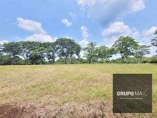 Terreno Industrial para Bodega Km 67.5 a Taxisco — Terreno en Venta en Escuintla, Escuintla — miniatura 7 de 8