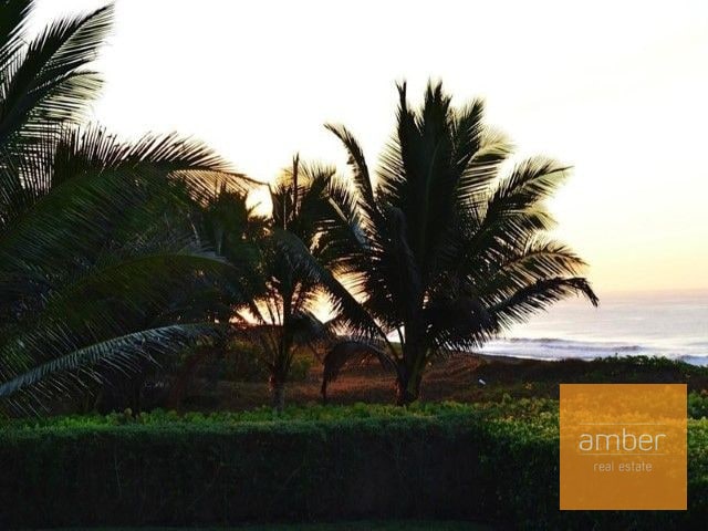 Lote en Palmeras de Monterrico - 2