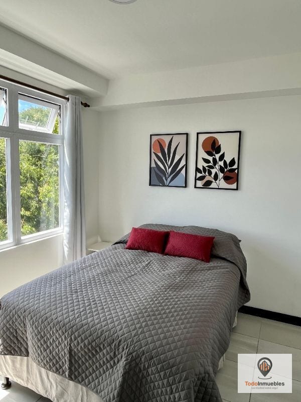 Apartamento en Renta en Altea Uno — Apartamento en Alquiler en Zona 1, Guatemala, Ciudad — foto 8 de 11