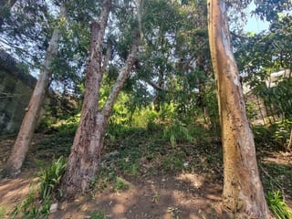 TERRENO EN VENTA SANTA ROSALIA KM 12 CES — Terreno en Venta en Santa Rosalia La Laguna, Carretera a El Salvador, Guatemala, Ciudad — miniatura 1 de 4