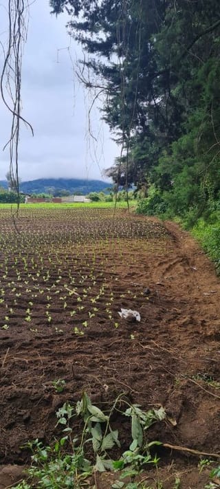 VENTA TERRENO EN STO TOMAS MILPAS ALTAS, CERCA DE ANTIGUA G — Terreno en Venta en Santo Tomás Milpas Altas, Sacatepéquez — miniatura 7 de 8