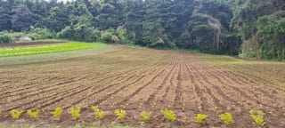 VENTA TERRENO EN STO TOMAS MILPAS ALTAS, CERCA DE ANTIGUA G — Terreno en Venta en Santo Tomás Milpas Altas, Sacatepéquez — miniatura 2 de 8