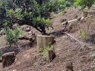 Terreno en Km 24 Carretera a El Salvador — Terreno en Venta en Carretera a El Salvador, Guatemala, Ciudad — miniatura 3 de 3